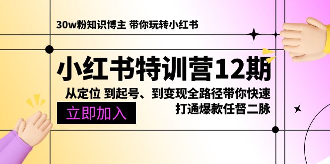 小红书特训营12期：从定位 到起号、到变现全路径带你快速打通爆款任督二脉-创业信息网