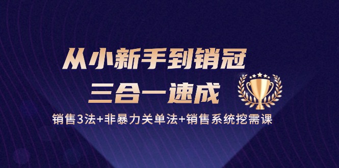 从小新手到销冠 三合一速成：销售3法+非暴力关单法+销售系统挖需课 (27节)-创业信息网