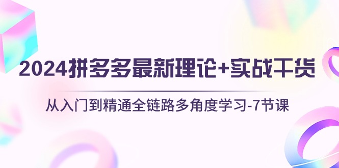 2024拼多多 最新理论+实战干货,从入门到精通全链路多角度学习-7节课-创业信息网