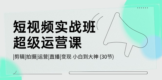 短视频实战班-超级运营课,|剪辑|拍摄|运营|直播|变现 小白到大神 (30节)-创业信息网