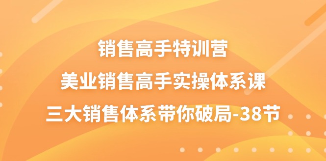 销售-高手特训营,美业-销售高手实操体系课,三大销售体系带你破局-38节-创业信息网