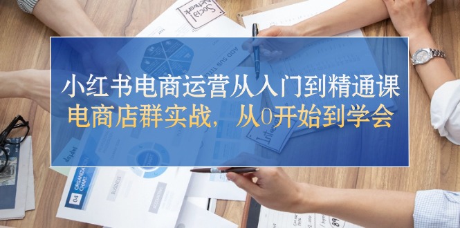 小红书电商运营从入门到精通课,电商店群实战,从0开始到学会-创业信息网