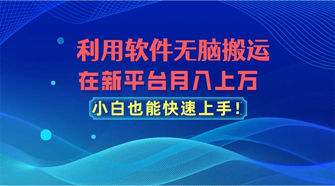 利用软件无脑搬运,在新平台月入上万,小白也能快速上手-创业信息网