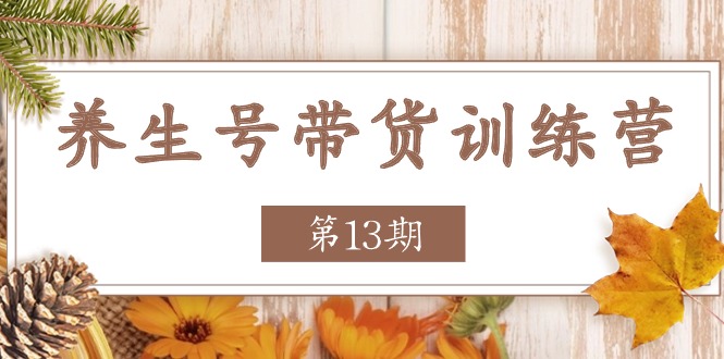 养生号-带货训练营【第13期】收益更稳定的玩法,让你带货收益爆炸-创业信息网