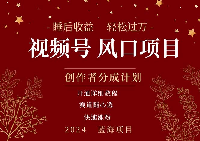 拥有睡眠收益的微信视频号大风口项目，轻松月入过万+，多赛道选择，可…-创业信息网