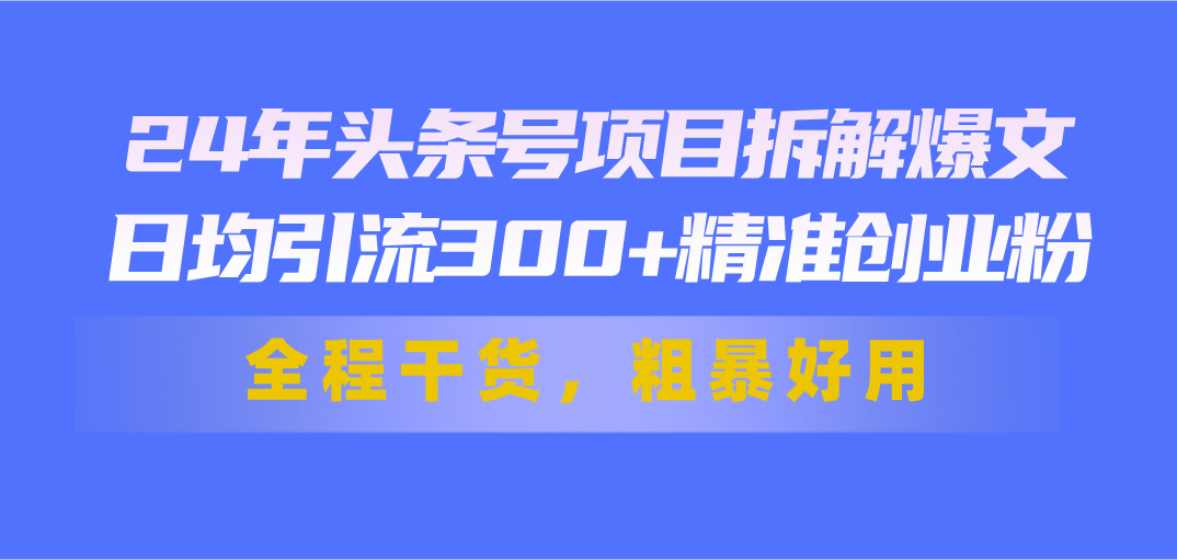 24年头条号项目拆解爆文,日均引流300+精准创业粉,全程干货,粗暴好用-创业信息网