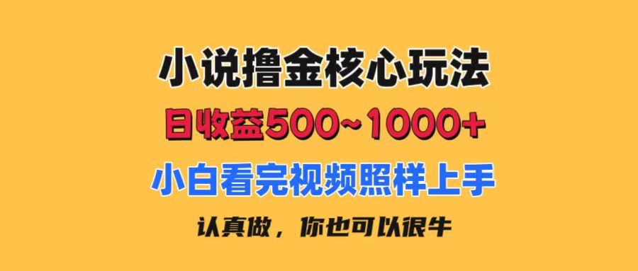 小说撸金核心玩法，日收益500-1000+，小白看完照样上手，0成本有手就行-创业信息网
