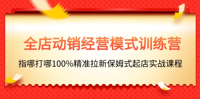 全店动销-经营模式训练营，指哪打哪100%精准拉新保姆式起店实战课程-创业信息网