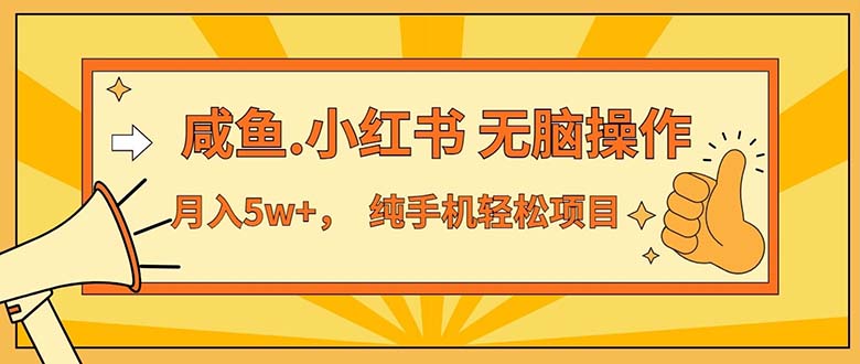 2024最赚钱的项目,咸鱼,小红书无脑操作,每单利润500+,轻松月入5万+…-创业信息网