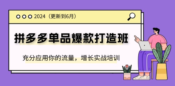 2024拼多多-单品爆款打造班(更新6月),充分应用你的流量,增长实战培训-创业信息网
