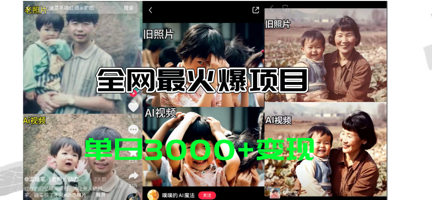 全网爆火的AI让老照片动起来教程,蹭热点日赚3000+,内含免费工具一键…-创业信息网