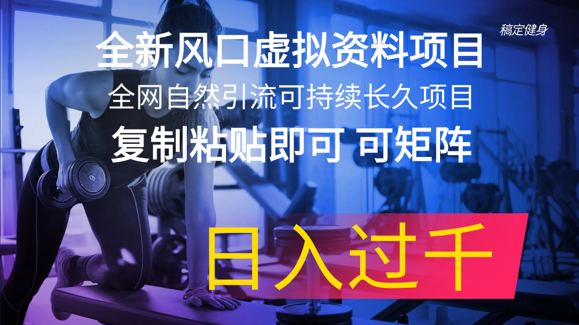 全新风口虚拟资料项目 全网自然引流可持续长久项目 复制粘贴即可可矩阵…-创业信息网