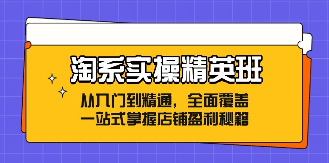 淘系实操精英班:从入门到精通,全面覆盖,一站式掌握店铺盈利秘籍-创业信息网