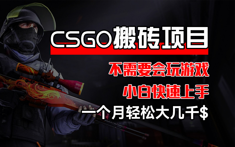 CSGO 装备搬砖项目，操作简单，不需要会玩游戏，小白也能快速上手，一…-创业信息网