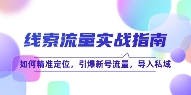 线 索 流 量-实战指南:如何精准定位,引爆新号流量,导入私域-创业信息网
