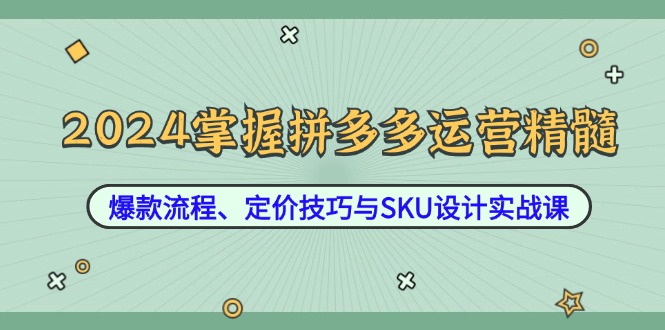 2024掌握拼多多运营精髓:爆款流程、定价技巧与SKU设计实战课-创业信息网