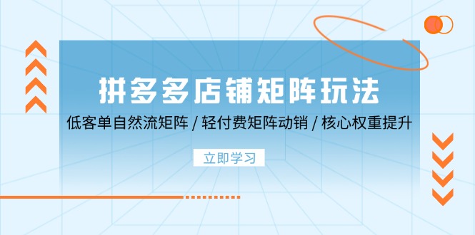 拼多多店铺矩阵玩法:低客单自然流矩阵 / 轻付费矩阵 动销 / 核心权重提升-创业信息网