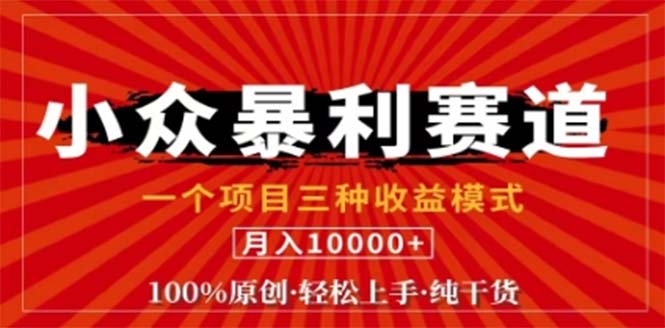 视频号最新爆火赛道，三种可收益模式，0粉新号条条原创条条热门 日入1000+-创业信息网