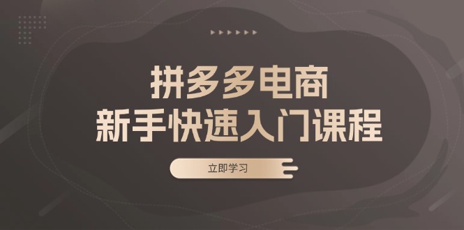 拼多多电商新手快速入门课程:涵盖基础、实战与选款,助力小白轻松上手-创业信息网