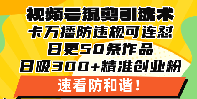 视频号混剪引流技术，500万播放引流17000创业粉，操作简单当天学会-创业信息网