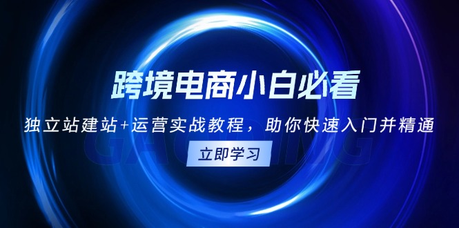 跨境电商小白必看!独立站建站+运营实战教程,助你快速入门并精通-创业信息网