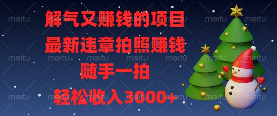 解气又赚钱的项目，最新违章拍照赚钱，随手一拍，轻松收入3000+-创业信息网