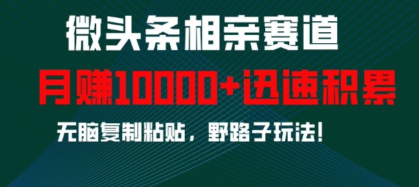 微头条相亲赛道，迅速积累，无脑复制粘贴，野路子玩法，月入1w-创业信息网