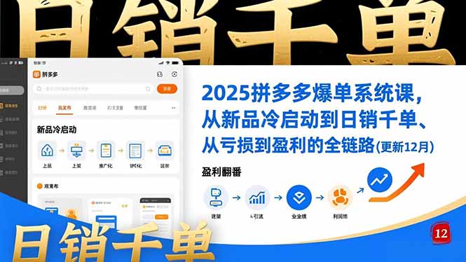 2025拼多多爆单系统课,从新品冷启动到日销千单、从亏损到盈利的全链路(更新12月
