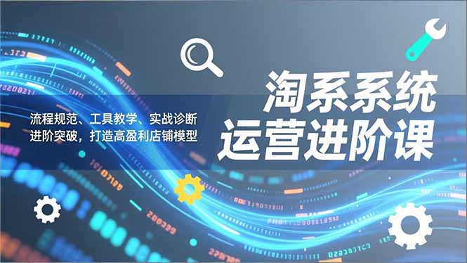 淘系系统运营进阶课2.0,流程规范、工具教学、实战诊断,进阶突破,打造高盈利店铺模型