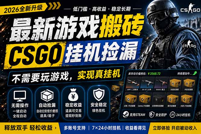 最新游戏搬砖，CSGO纯挂机，不需要玩游戏，实现真挂机，月入1W+，五一小高峰上车可吃肉，…-创业信息网