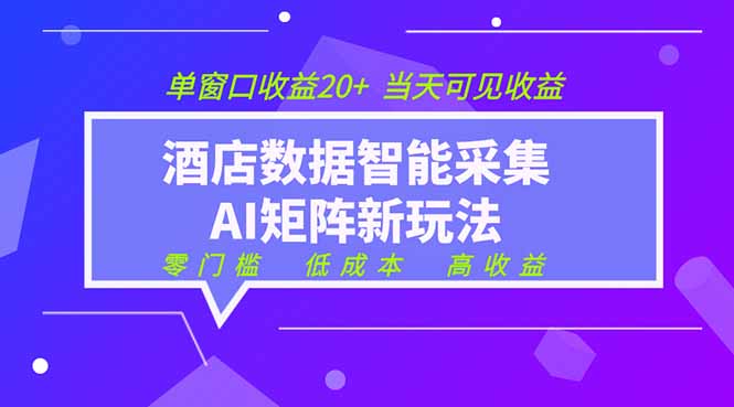 2026酒店数据采集ai智能矩阵新风口  低成本   高收益   当天见收益   单窗口20+-创业信息网