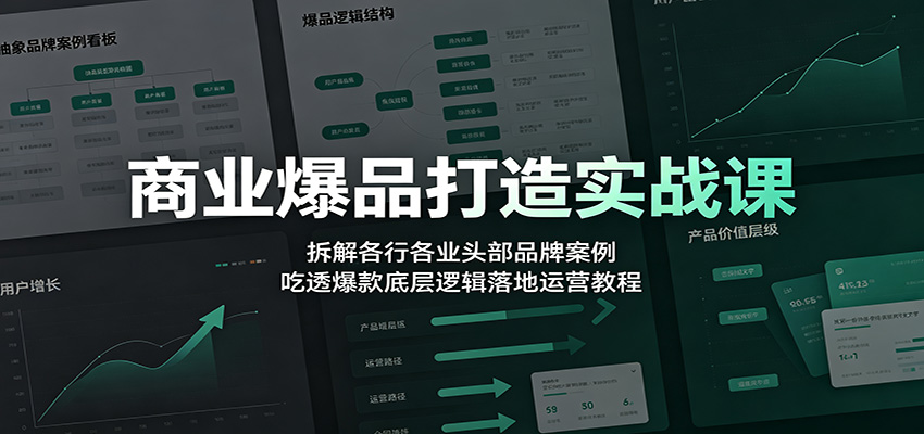 商业爆品打造实战课：拆解各行各业头部品牌案例，吃透爆款底层逻辑落地运营教程-创业信息网