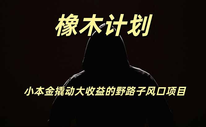 橡木计划，小投入撬动高回报的风口野路子项目，一天投入2小时左右-创业信息网