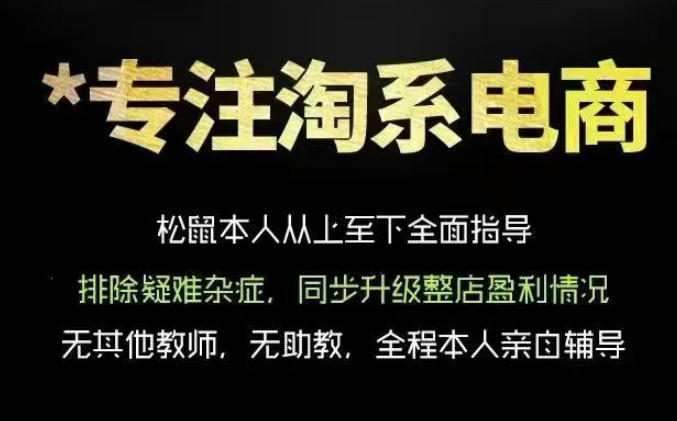 松鼠会电商VIP课程，从基础布局到高阶优化，助你掌握淘宝运营逻辑，提升店铺流量与转化(更新0809)-创业信息网