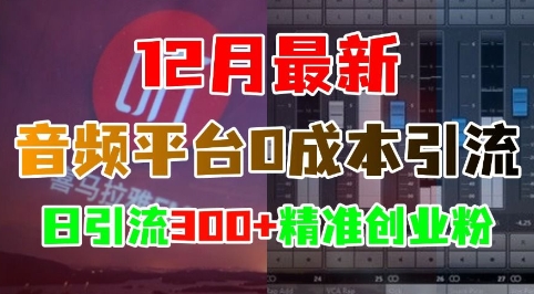 12月最新：音频平台0成本引流，日引流300+精准创业粉-创业信息网