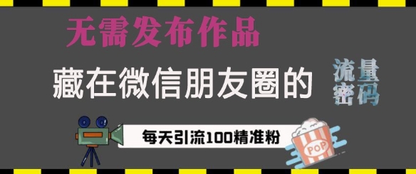 藏在微信朋友圈的流量密码,无需发布作品,单日引流100+精准创业粉【揭秘】-创业信息网
