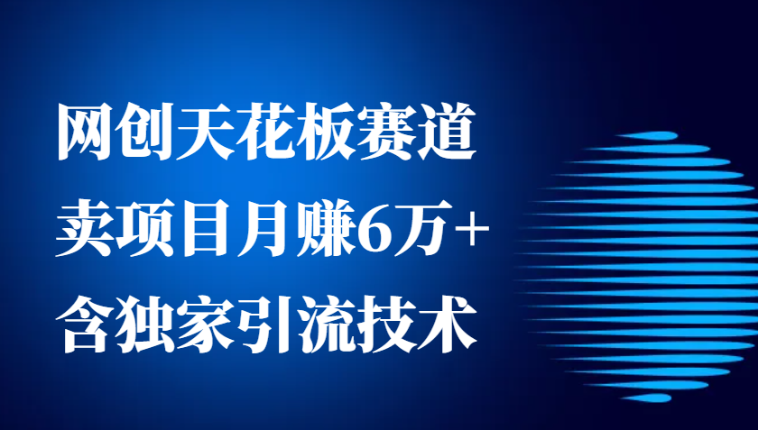 网创天花板赛道，卖项目月赚6万+，含独家引流技术(共26节课)-创业信息网