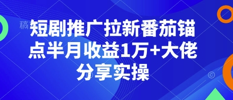 短剧推广拉新番茄锚点半月收益1万+大佬分享实操-创业信息网