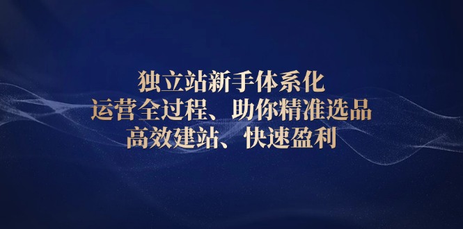 独立站新手体系化 运营全过程,助你精准选品、高效建站、快速盈利
