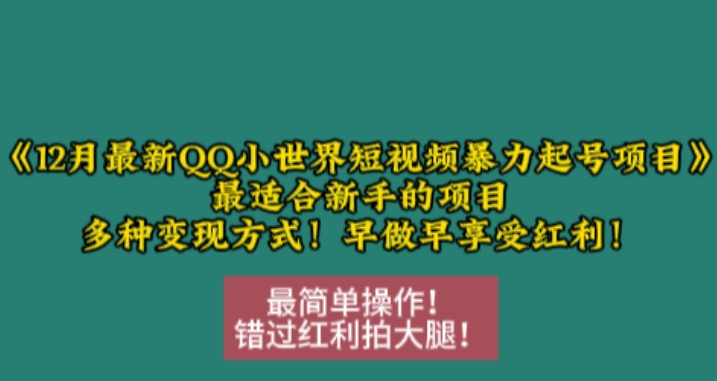 12月最新QQ小世界短视频暴力起号项目，最适合新手的项目，多种变现方式-创业信息网